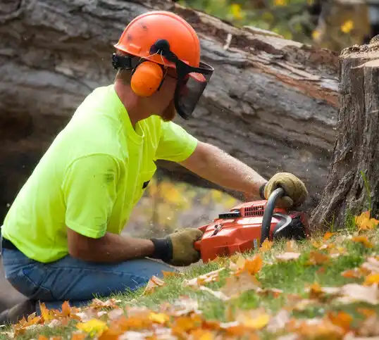 tree services Brownfields